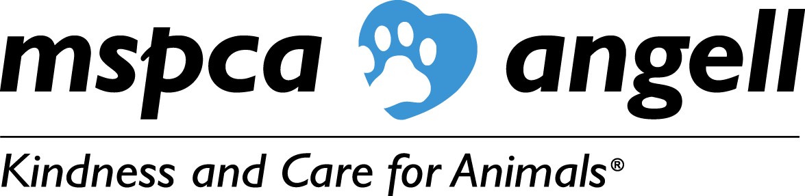 Logo for Angell Animal Medical Center