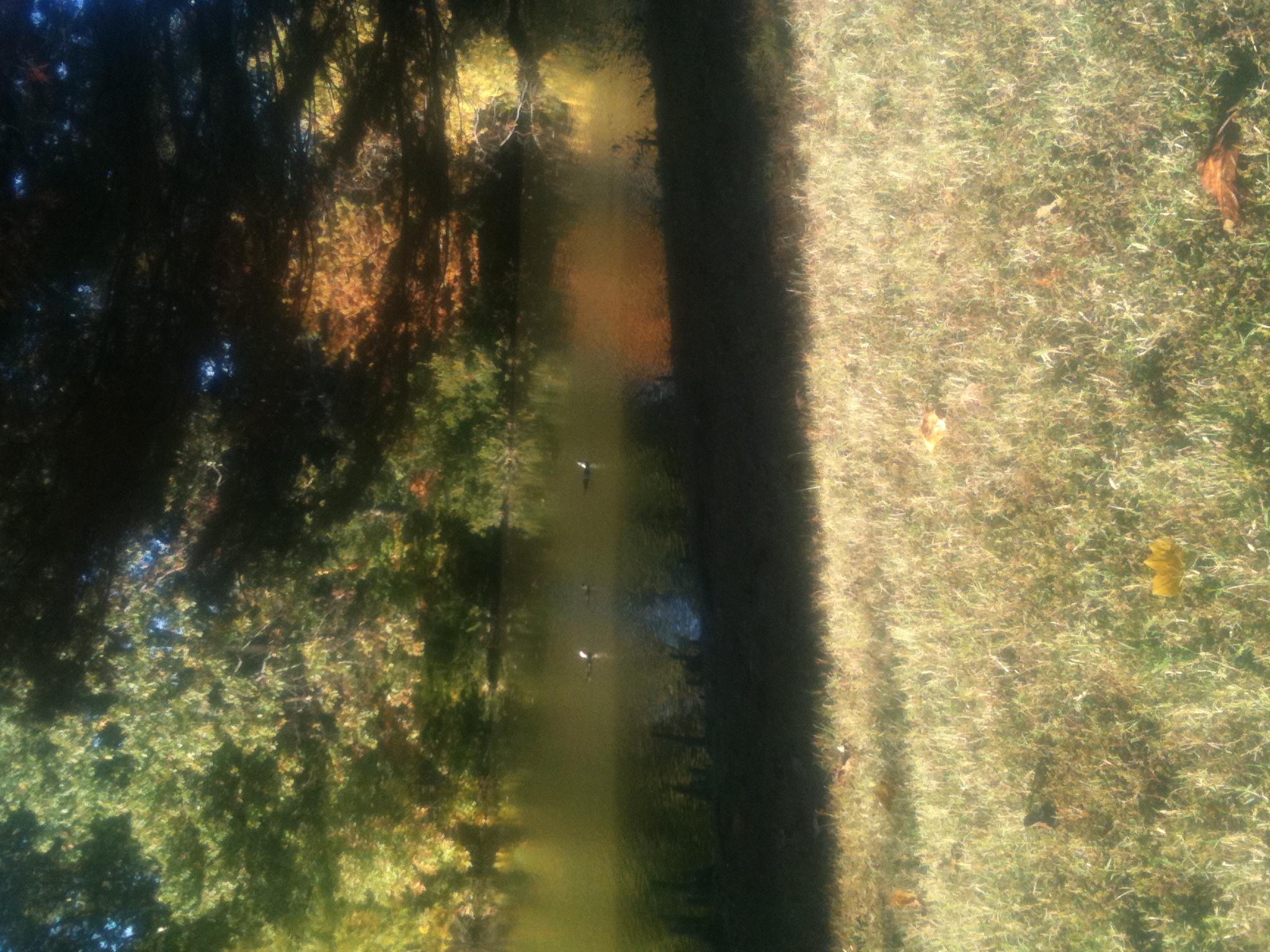 Avatar for Array Home Services 