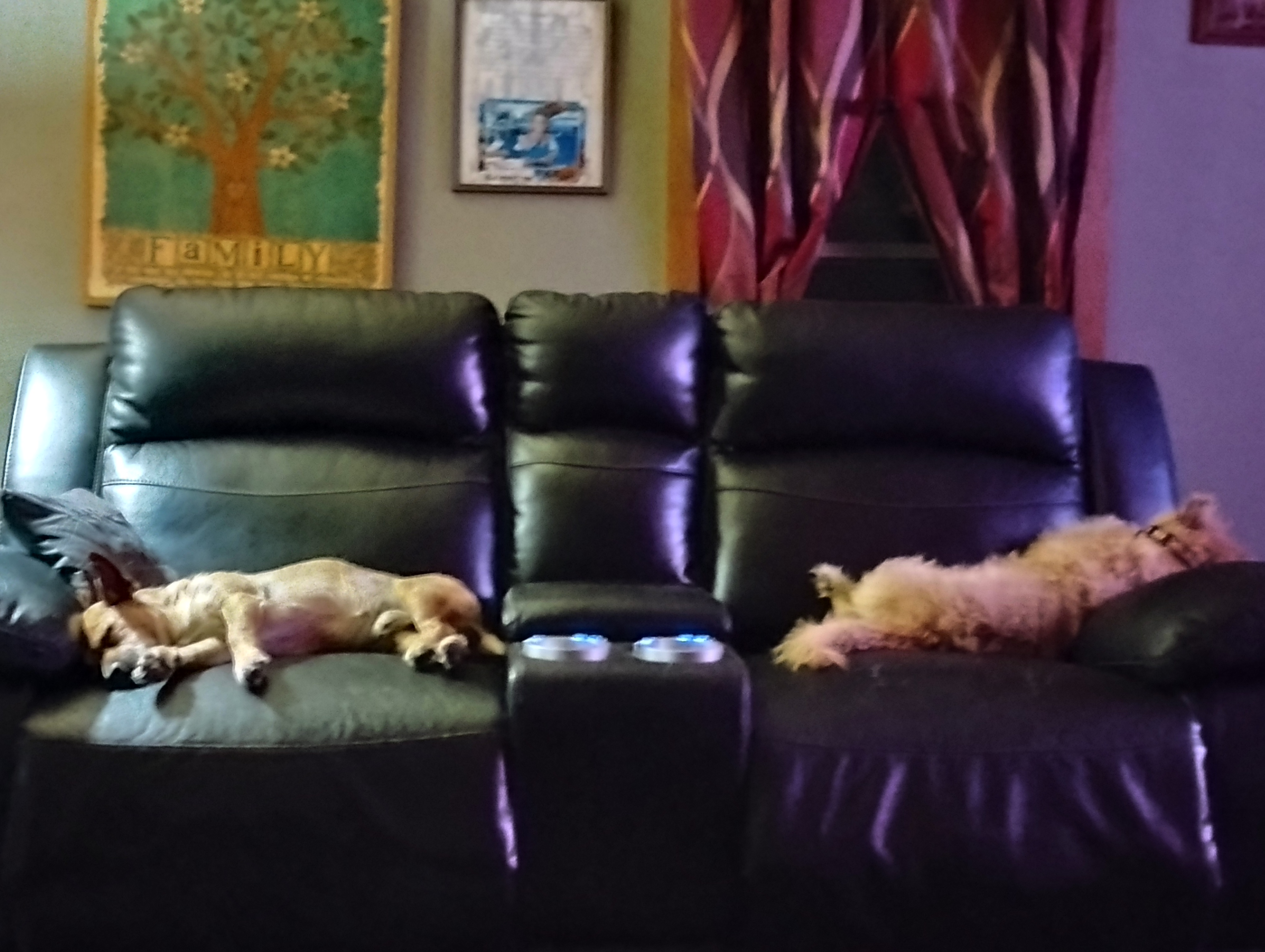 Avatar for Star clean up