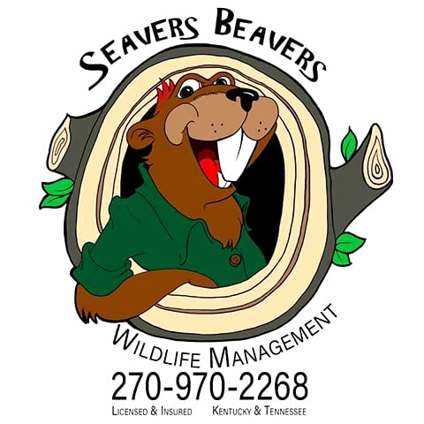 Avatar for Seavers Beavers and More | Wildlife Management & Removal
