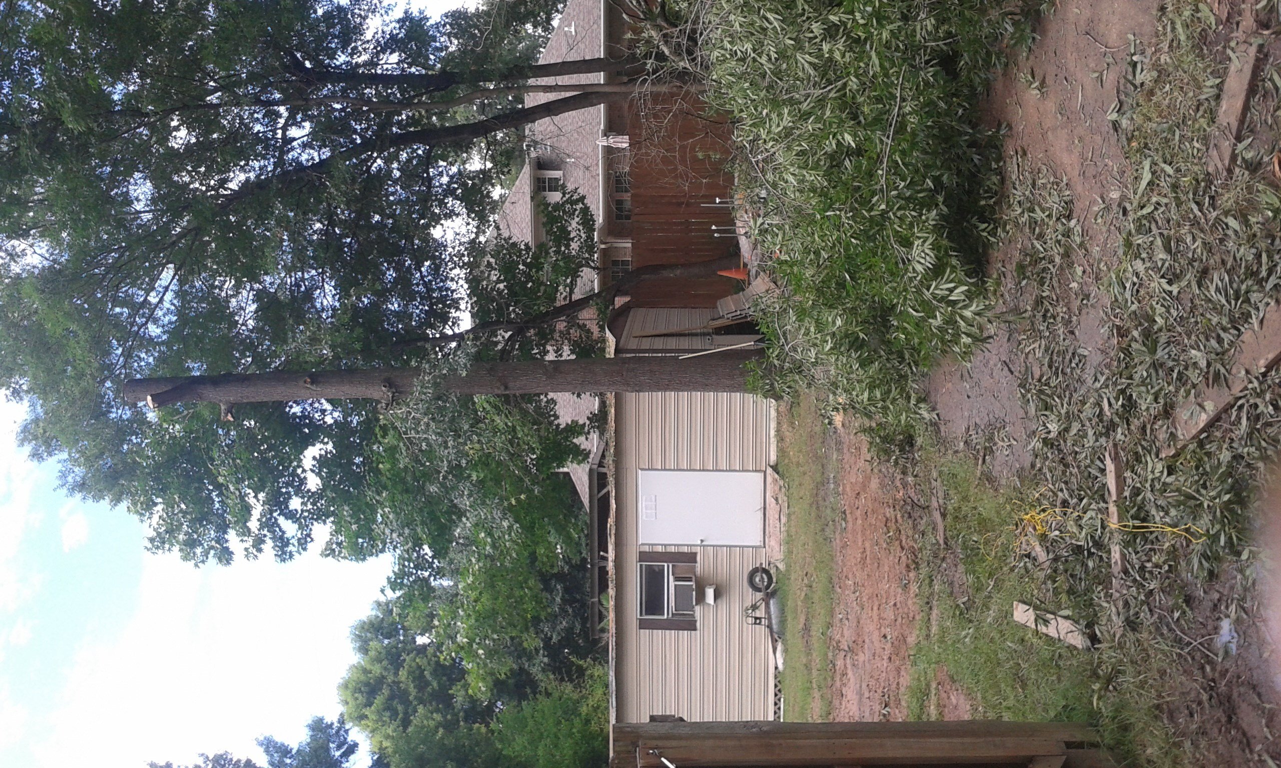 Avatar for JJ's tree service and lawn care