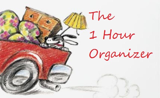 Avatar for The 1 Hour Organizer