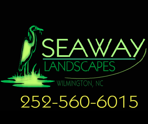Avatar for Seaway Landscapes