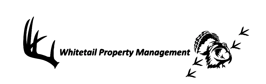 Avatar for Whitetail Property Management