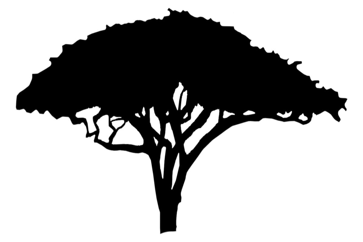 Logo for Herm Tree Service