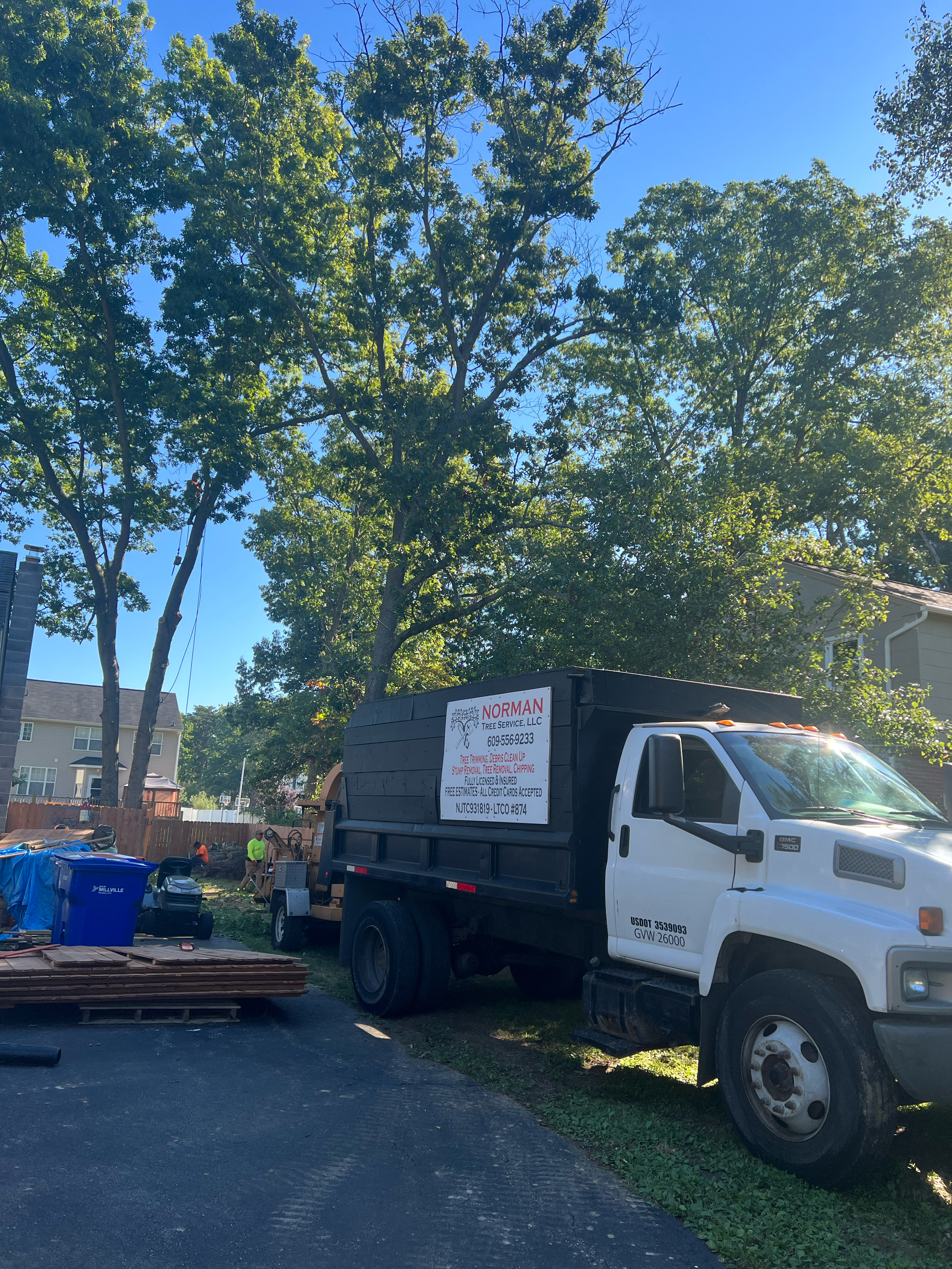 Avatar for Norman Tree Service LLC