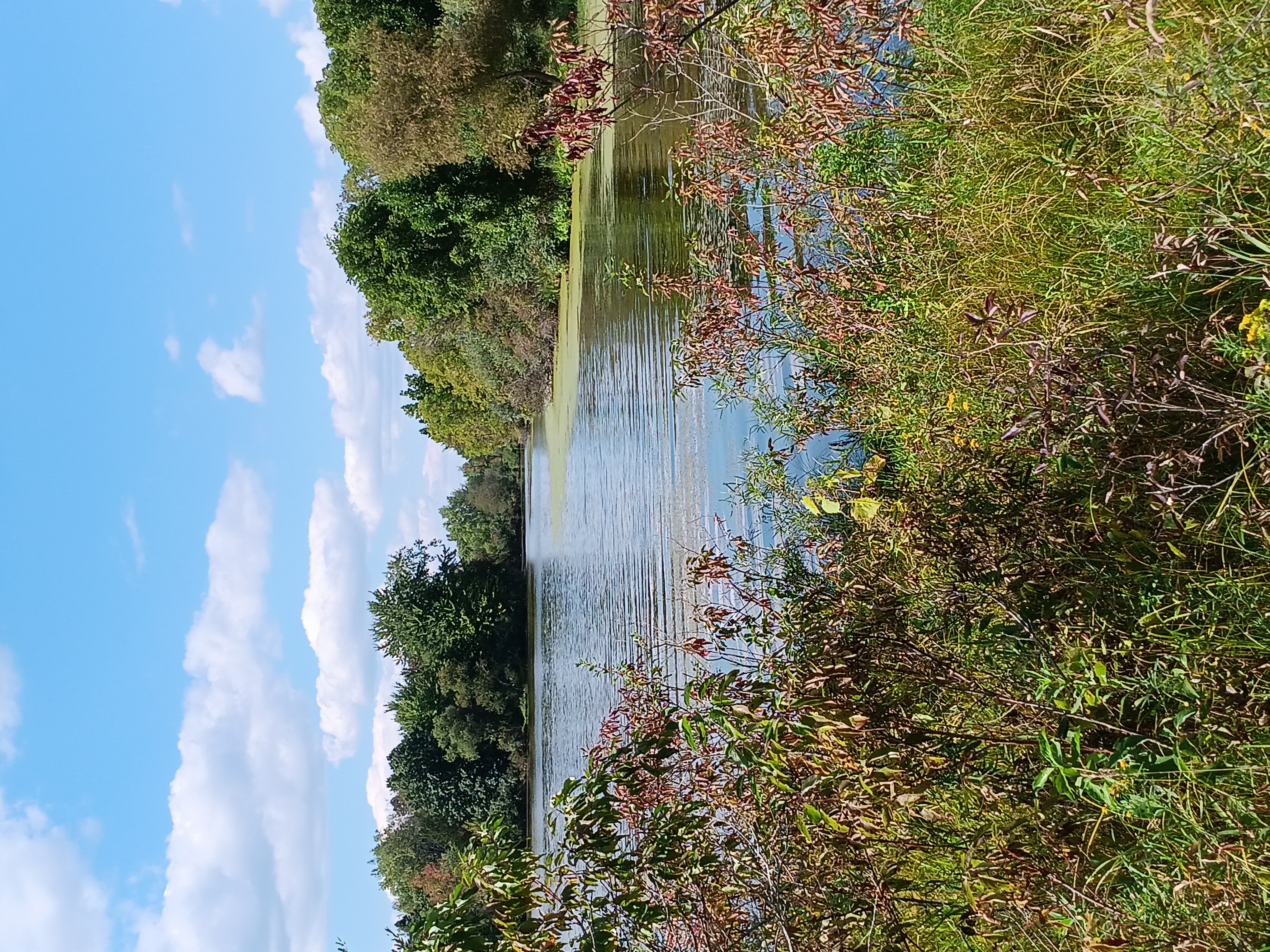 Avatar for Brently's Home and property solutions 