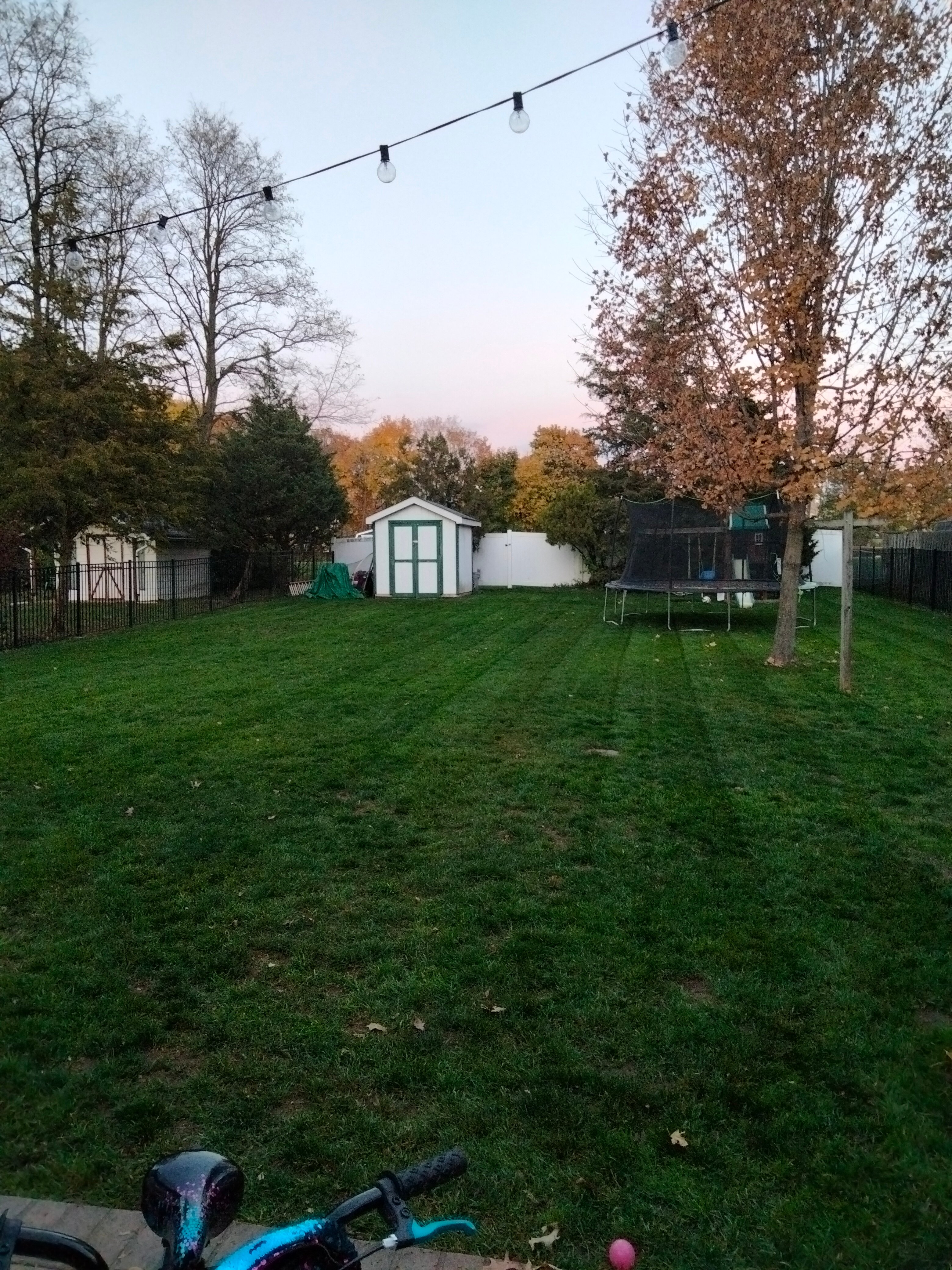 Avatar for RS Lawn's