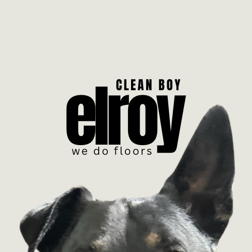 Avatar for Clean Boy Elroy