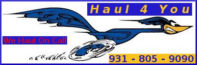 Avatar for Haul 4 You