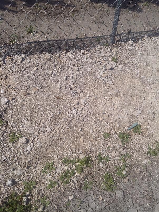 Avatar for Pilgrim Caliche Dirt