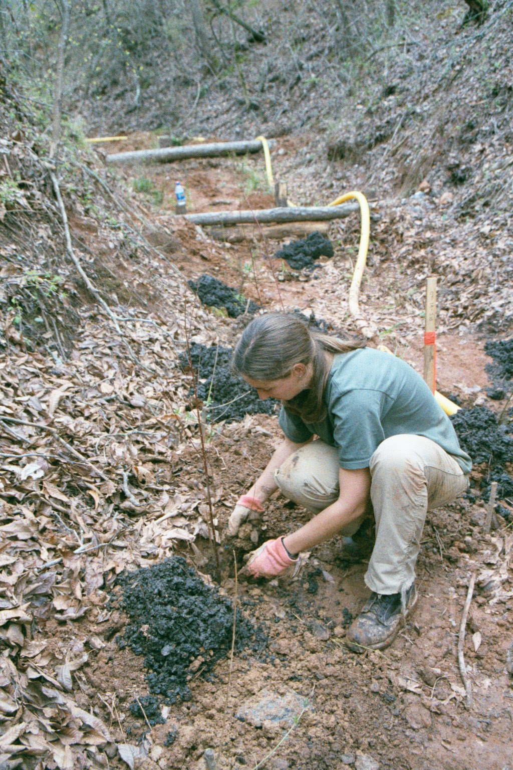 Avatar for Mill Creek Environmental, LLC