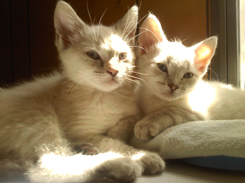 Lucy and Ethel
