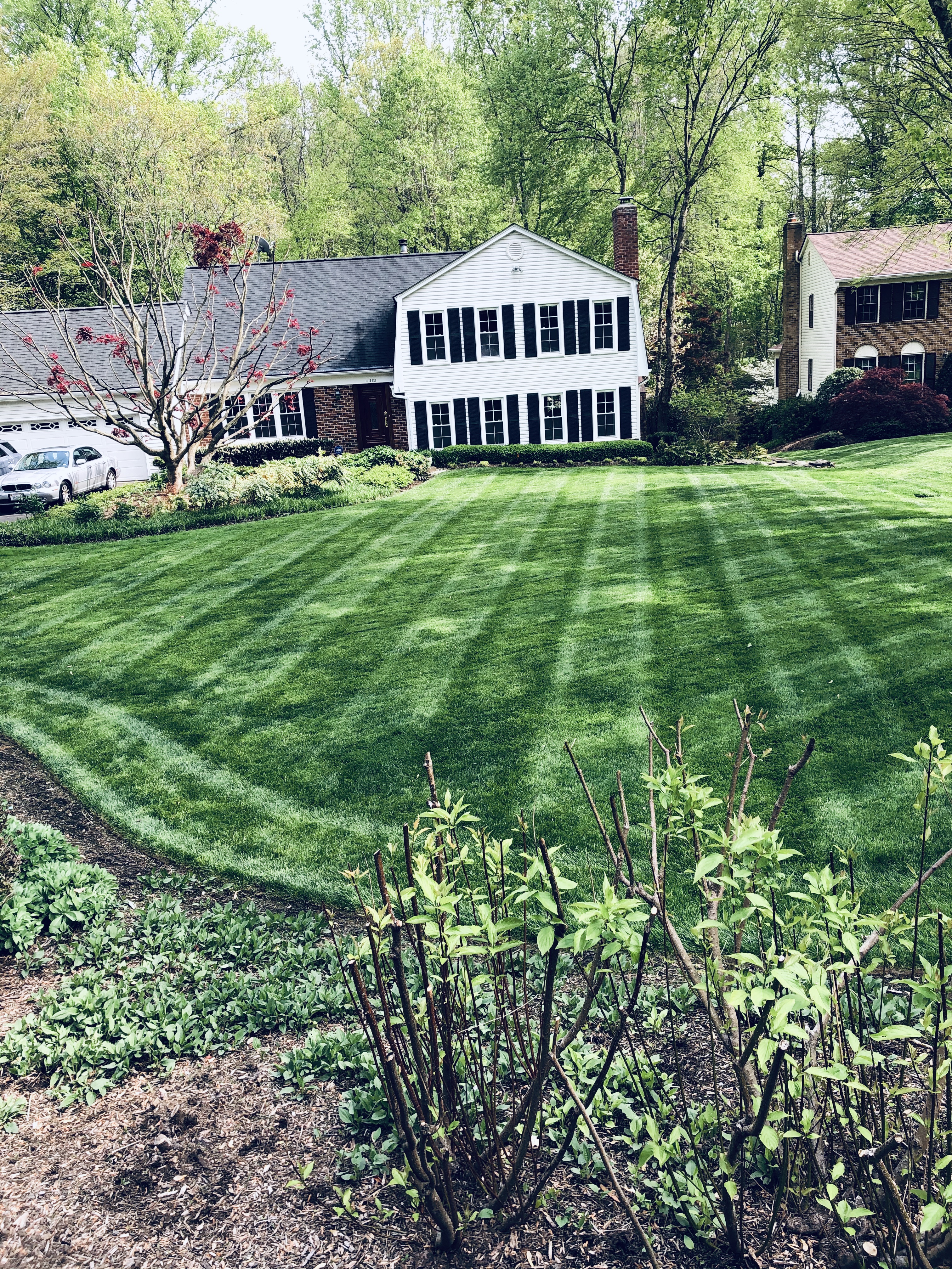 Avatar for Guzman Landscaping