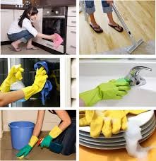 5 STAR CLEANING logo