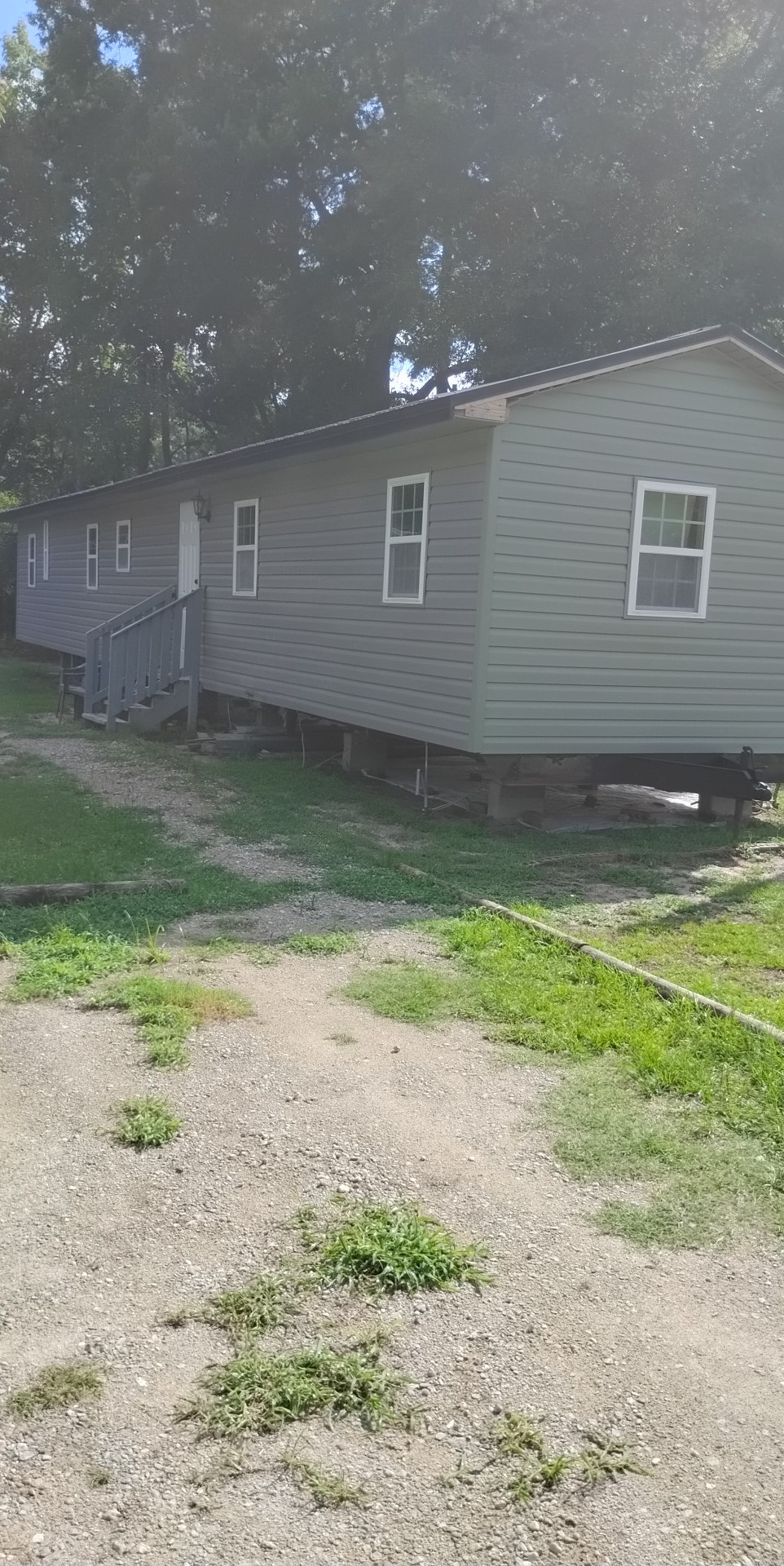 Avatar for All in one