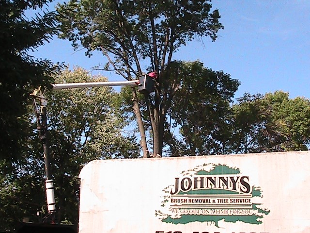 Johnny's Brush Removal & Tree Service logo