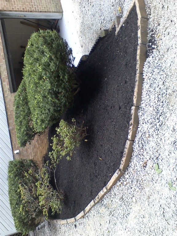 Mulch and stone