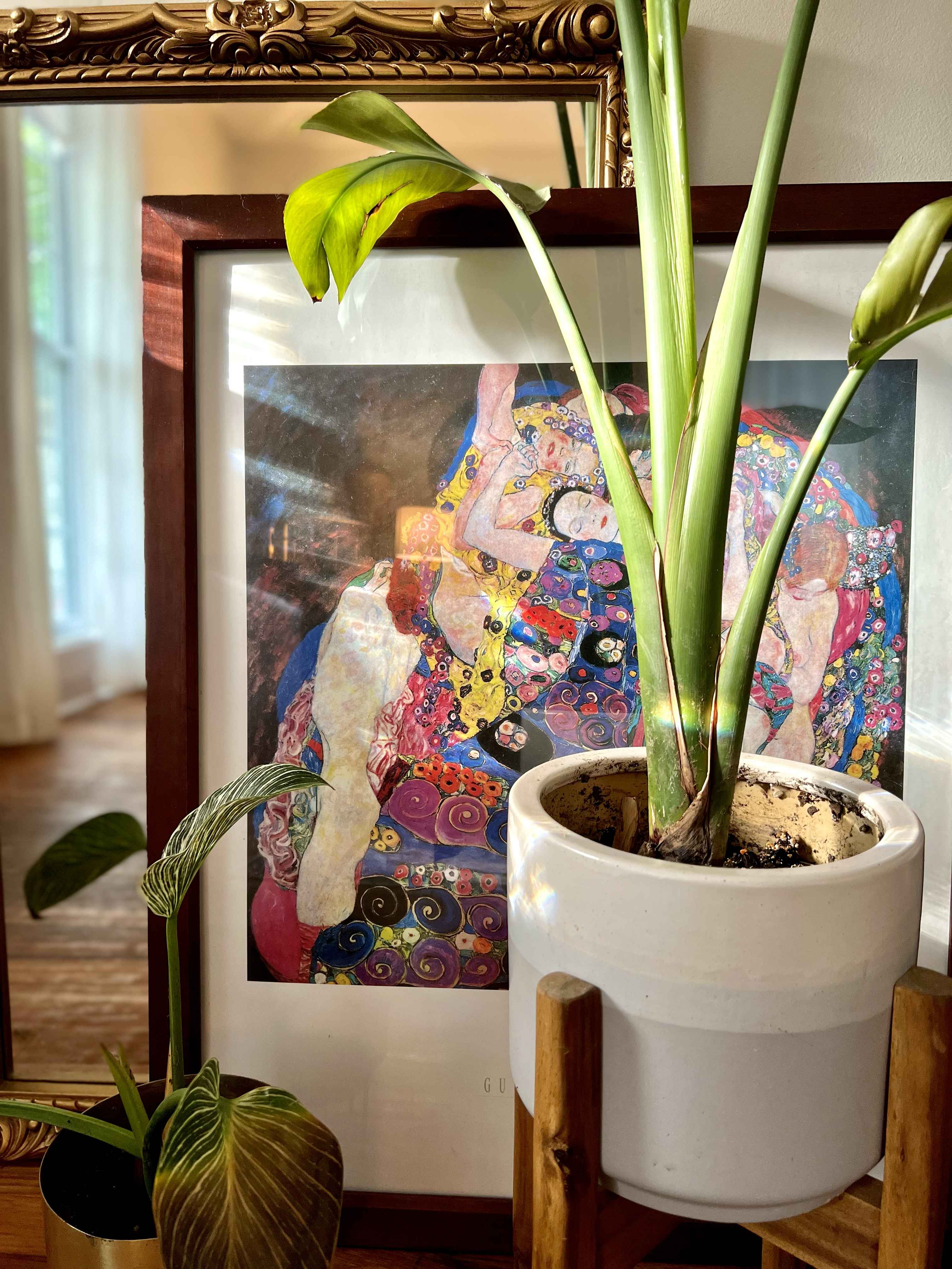 Avatar for Veda Design Co.