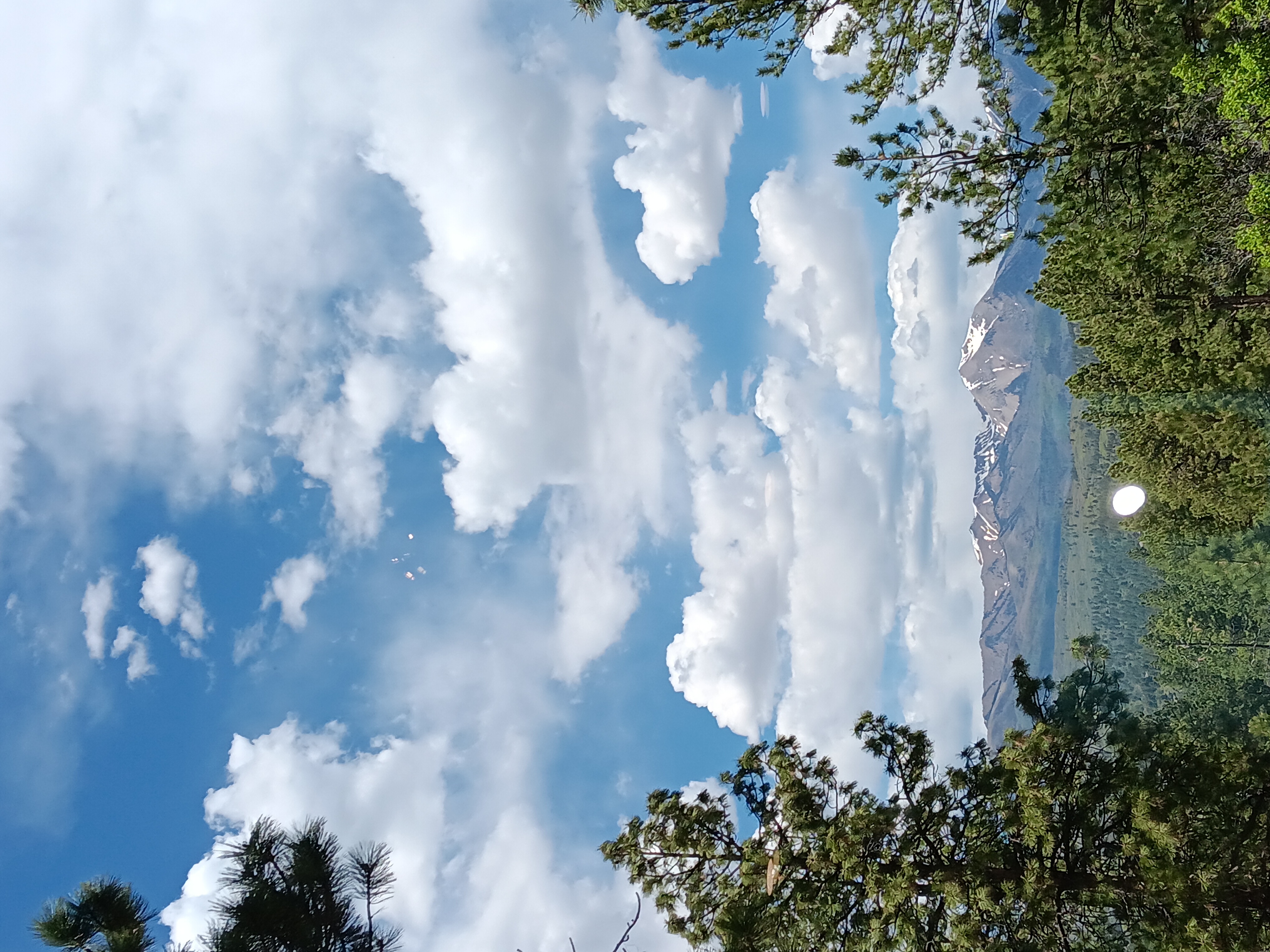 Avatar for Majestic Cleaning