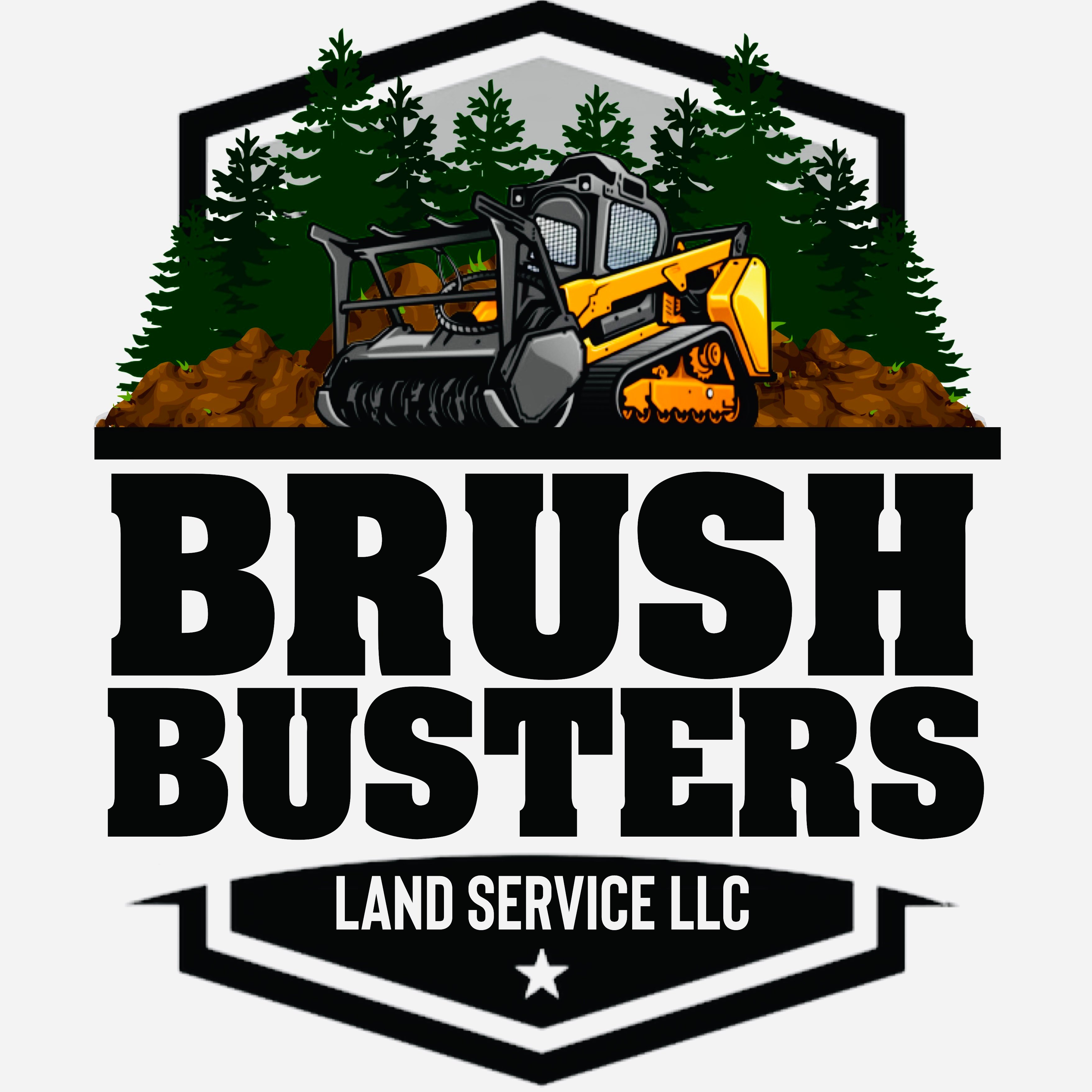 Avatar for Brushbusters