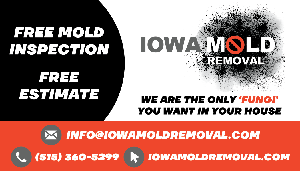 Avatar for Iowa Mold Removal, LLC