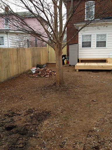 Backyard Before