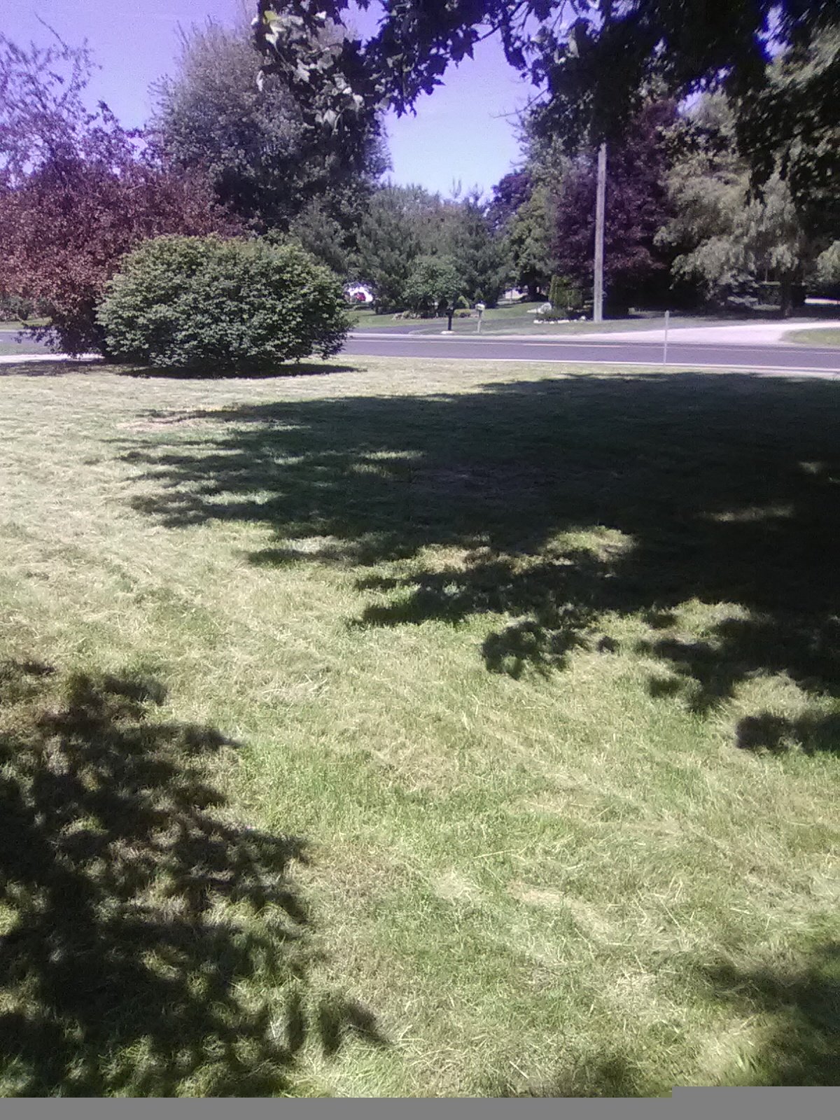 Avatar for Joe's Yard Care