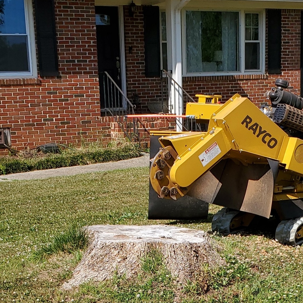 Top 10 Best Tree Removal Services in Mcdonough GA Angi [Angie's List]