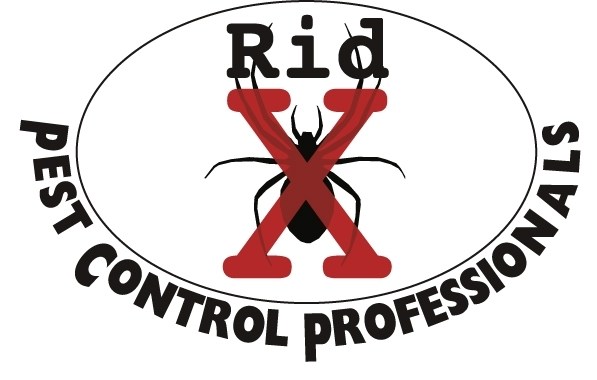 Avatar for Rid X Pest Disposal