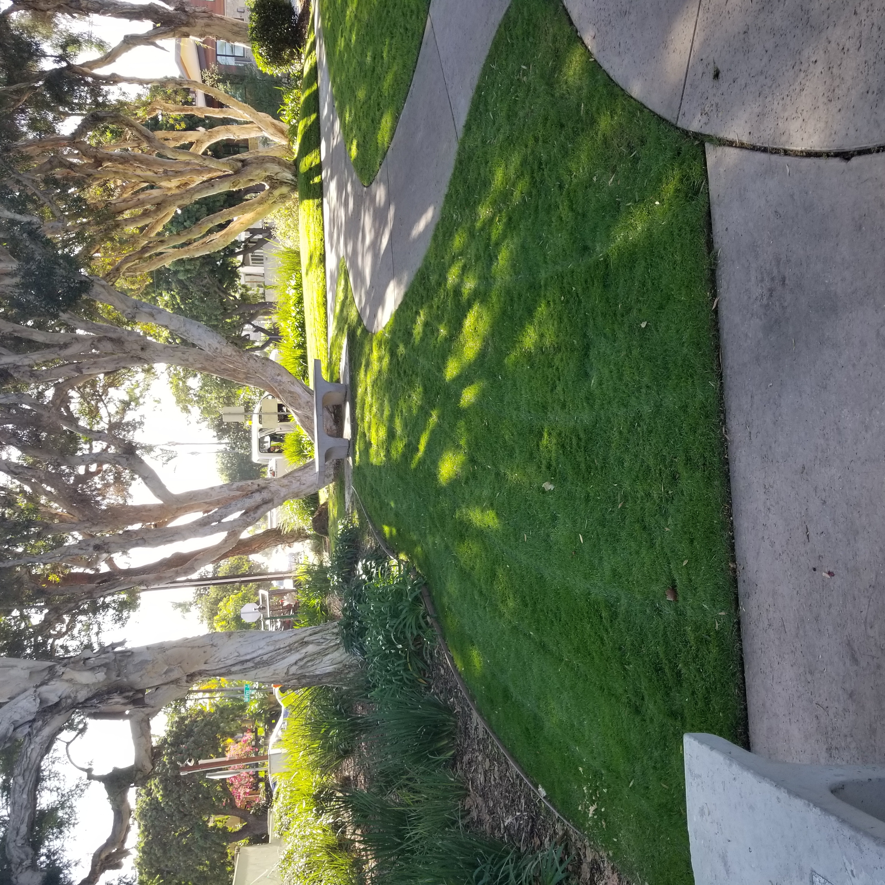 Avatar for Evergreen Landscaping 