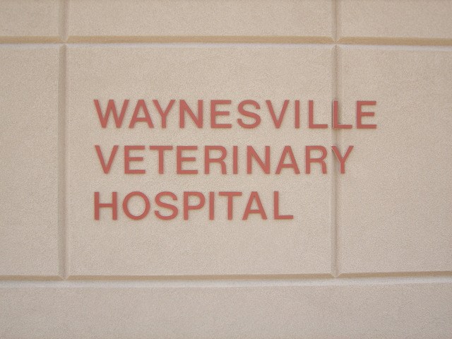 Logo for Waynesville Veterinary Hospital