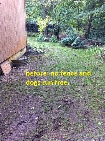 Avatar for Felice Enterprises LLC