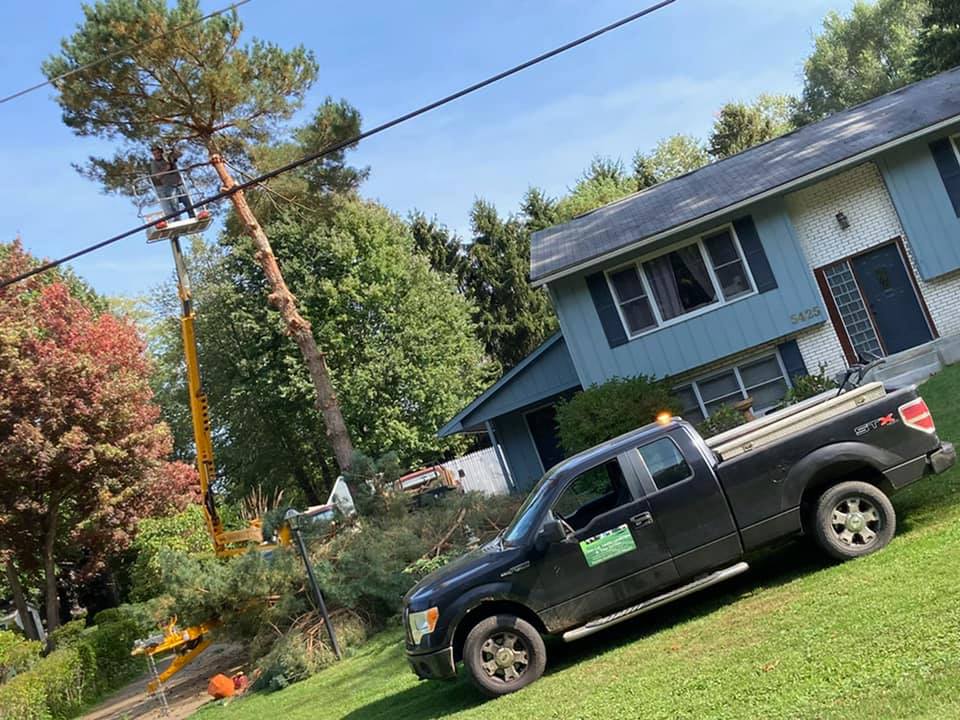 Avatar for Humbert Property Maintenance LLC 