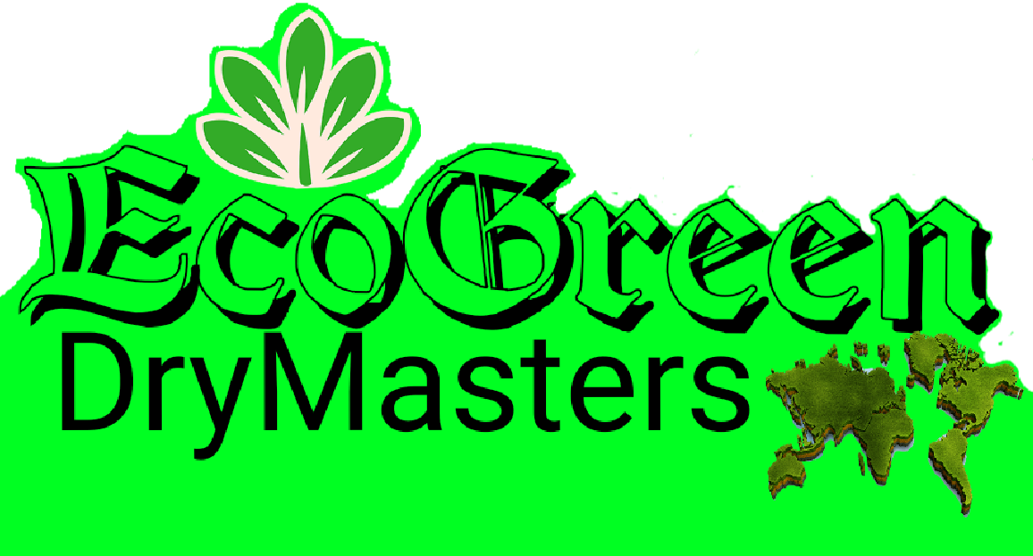 EcoGreen Dry Masters logo