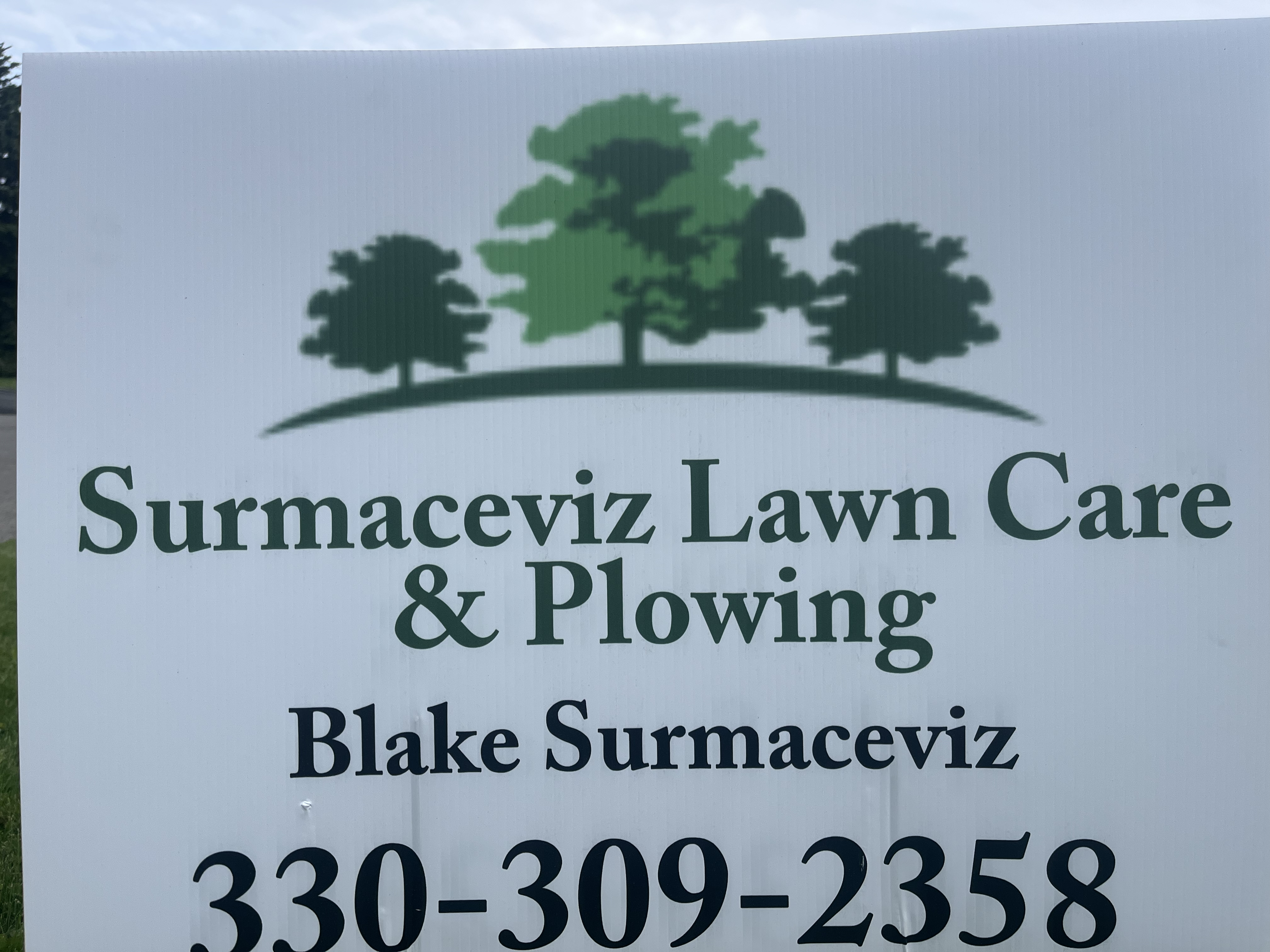 Avatar for Surmaceviz lawn care