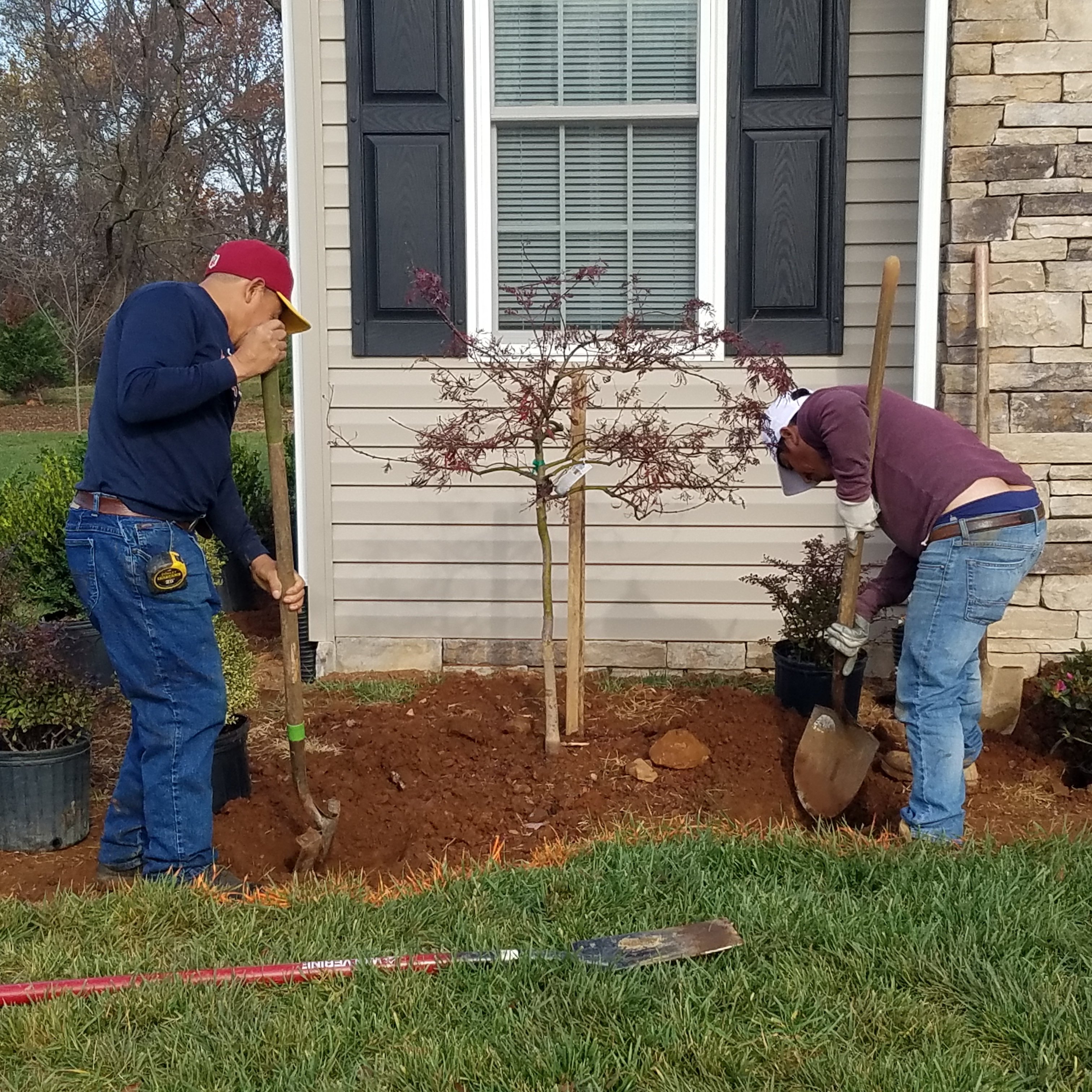 Avatar for Salas Landscaping