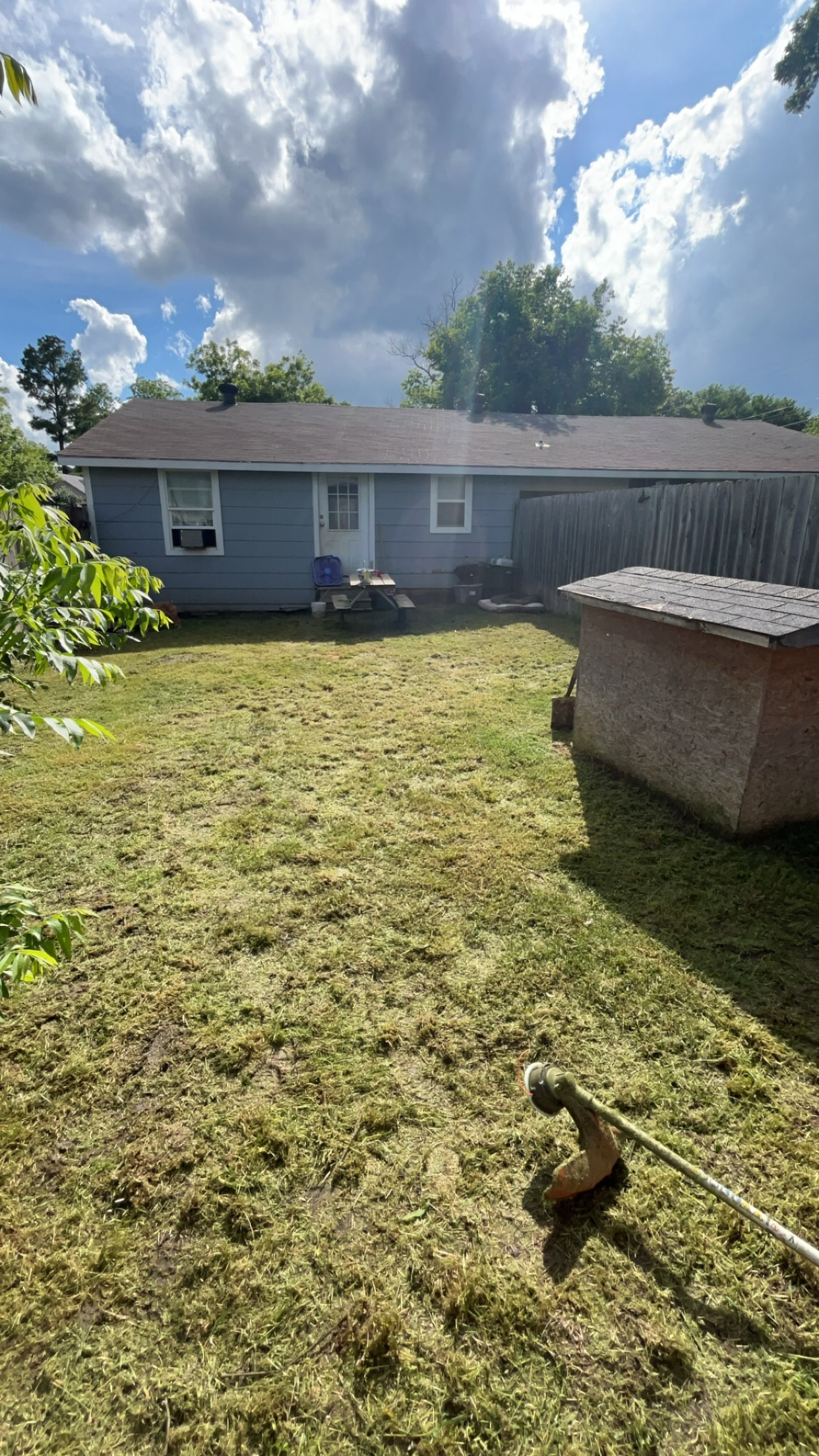 Avatar for L.P. Lawn n Tree