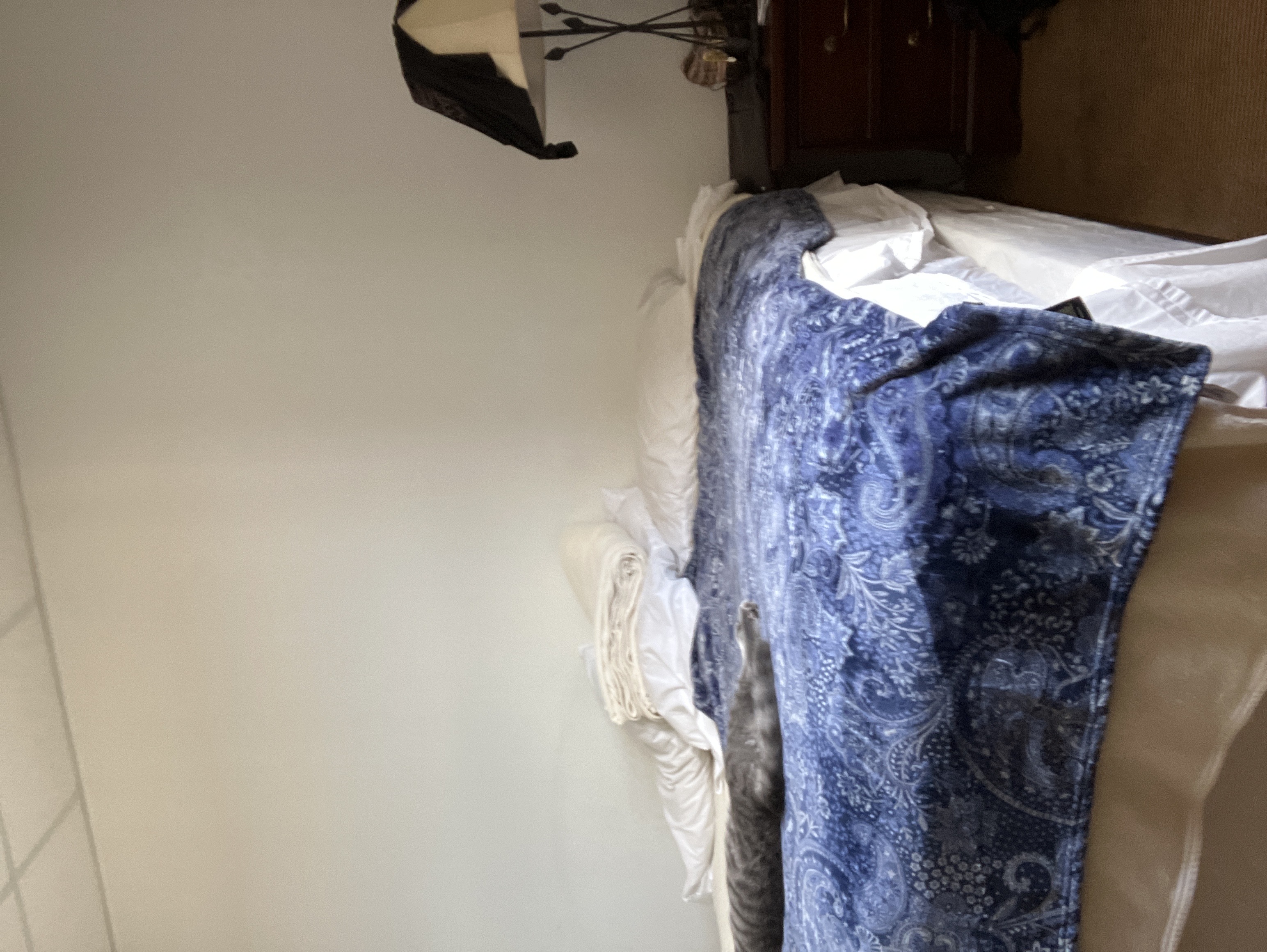 Avatar for Phenomenal Cleaning