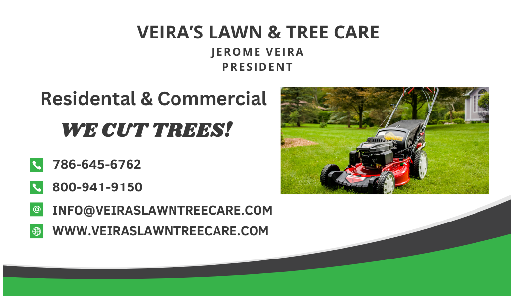 Avatar for Lawn & Tree Care