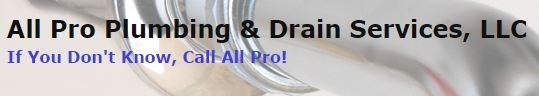 All Pro Plumbing & Drain Services logo