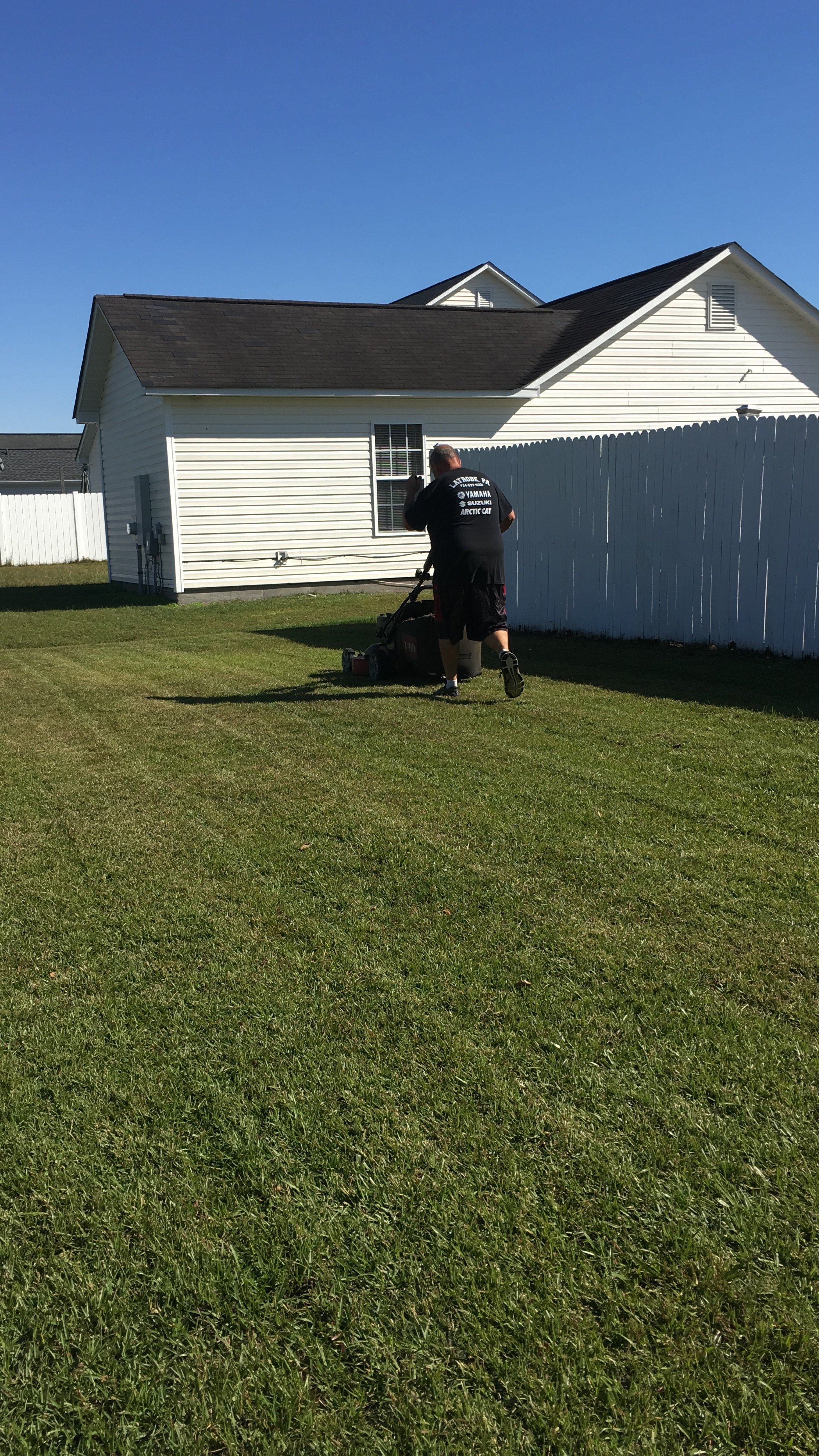 Logo for International Green