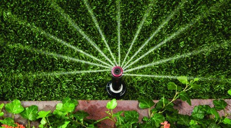 Avatar for H2o Experts