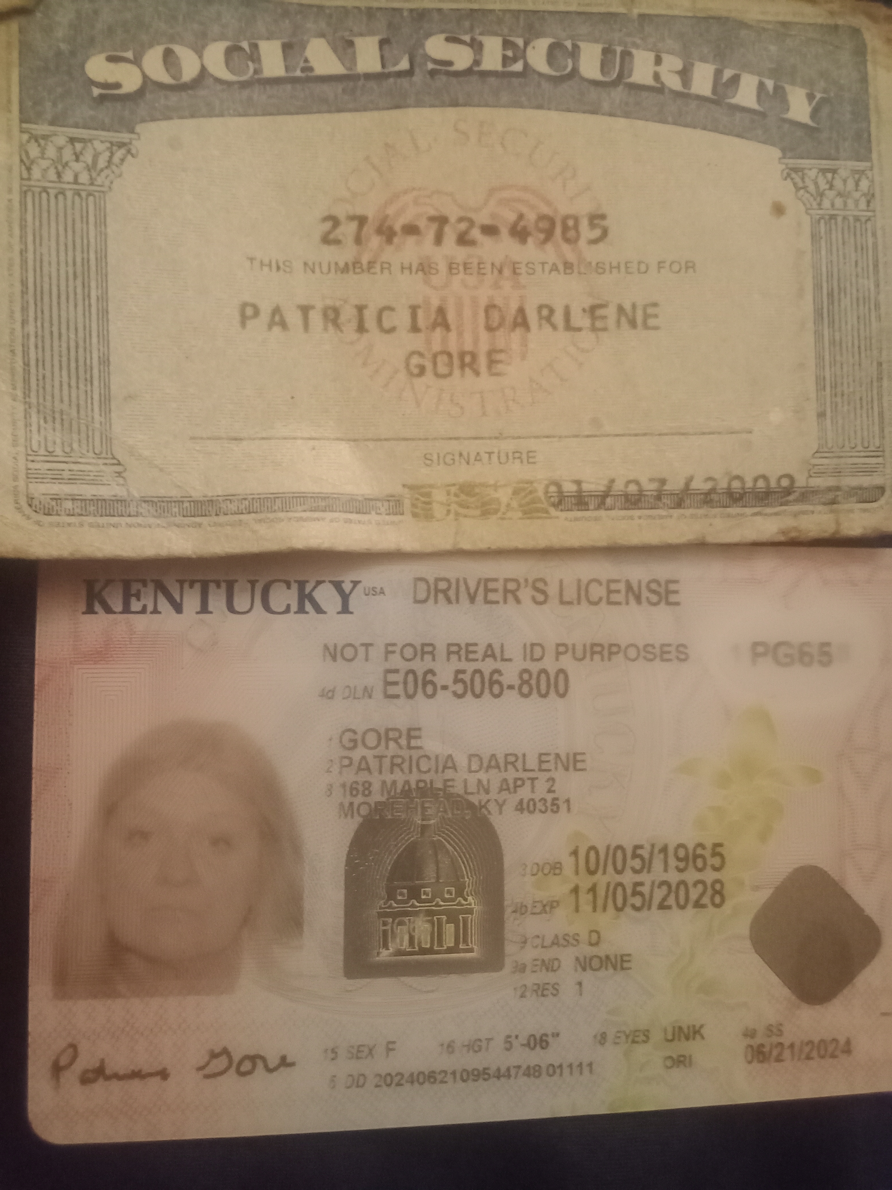 Avatar for Patricia gore