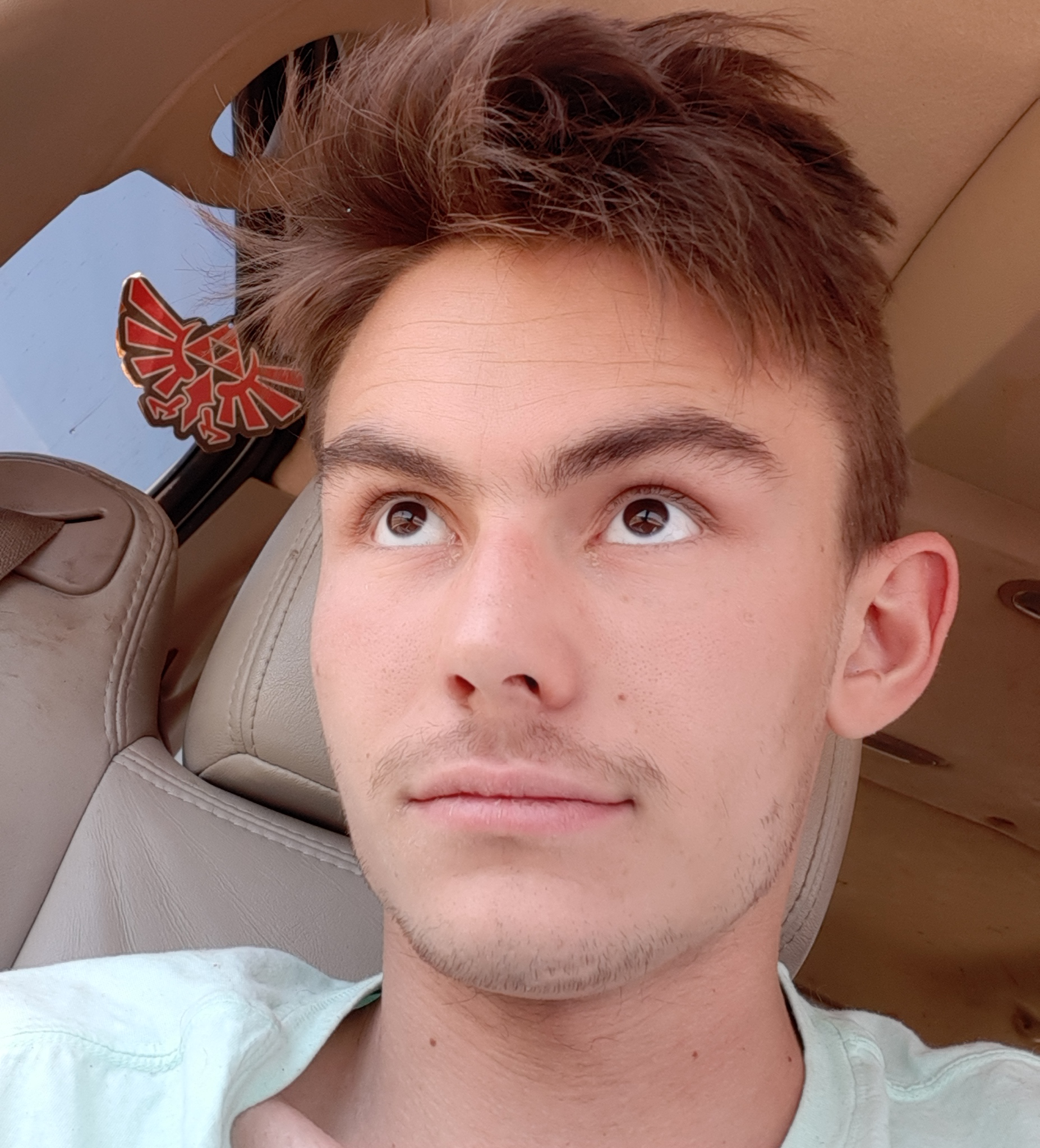 Avatar for ChrisJen Construction & Lawn Maintenance