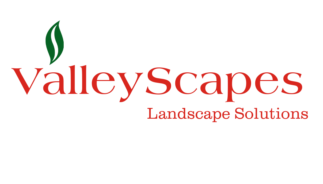 Avatar for ValleyScapes, Inc.