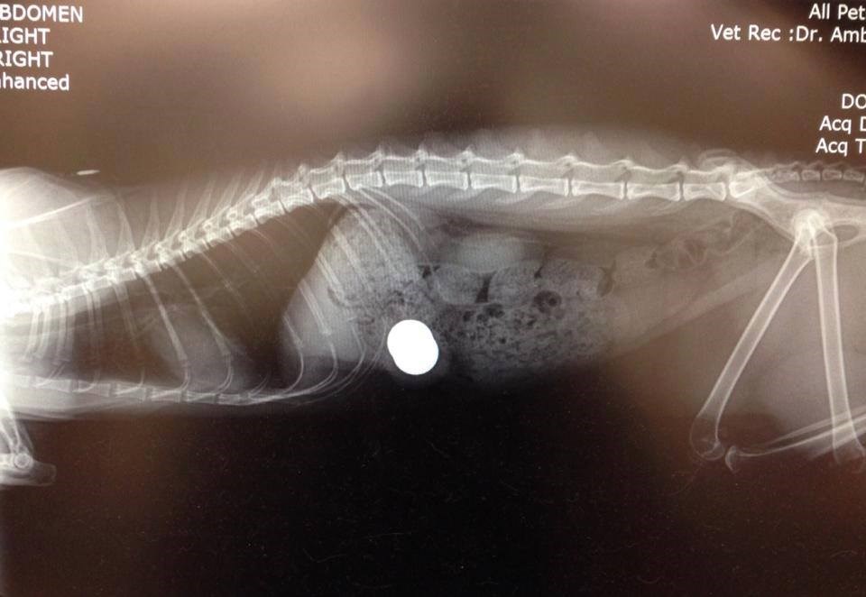 Xray