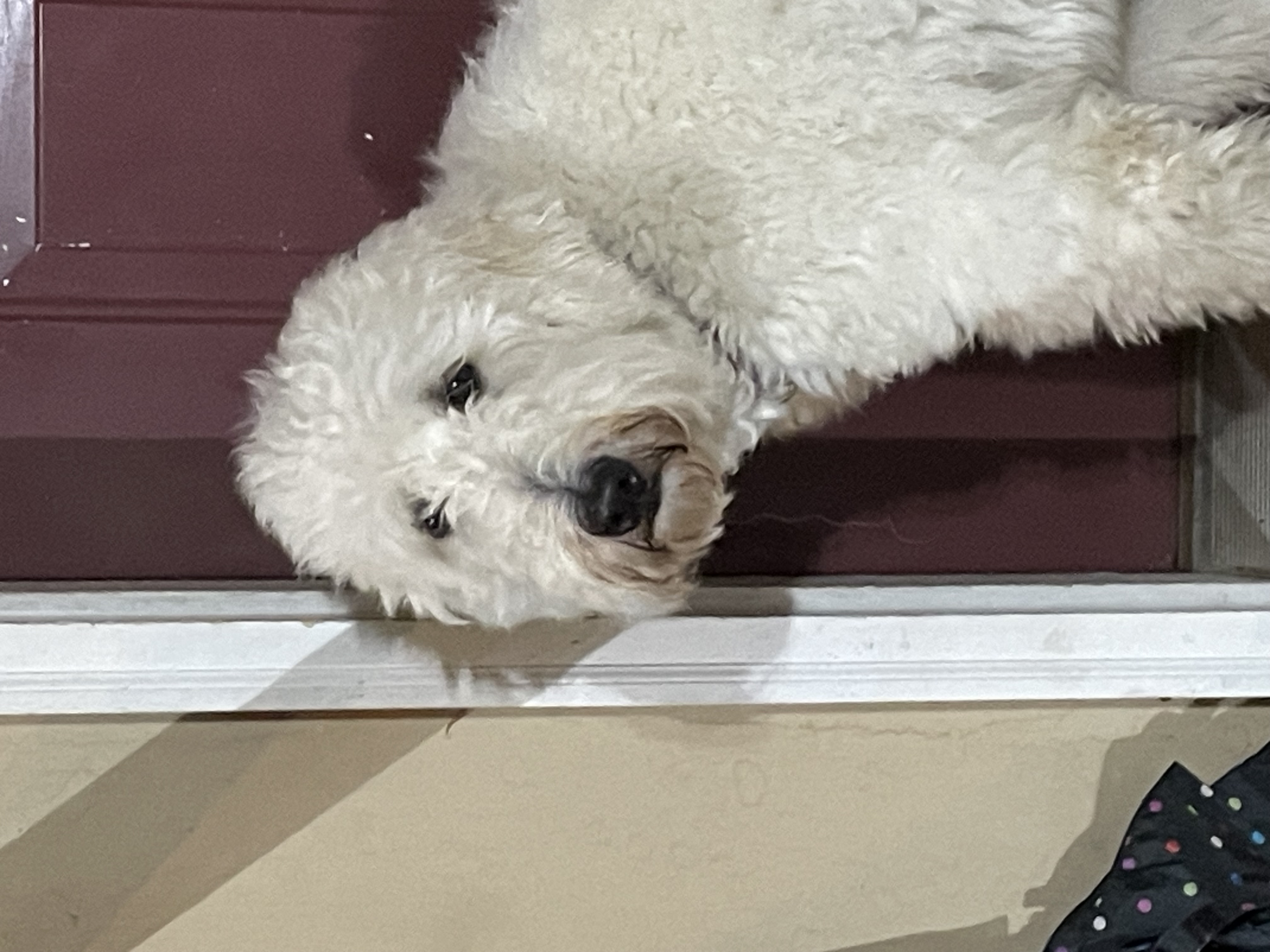 Avatar for Mathewson Electrical Services