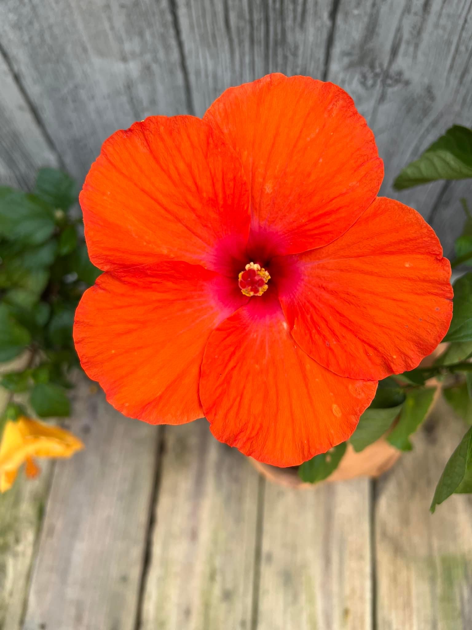 Avatar for Faith & Grace Cleaning Services