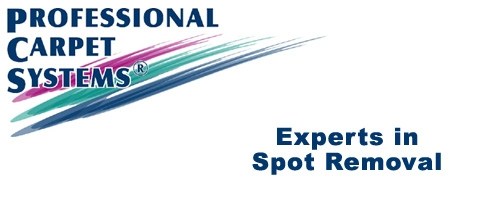 Avatar for PROFESSIONAL CARPET SYSTEMS